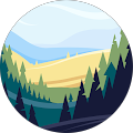 Mike Flohr's Profile Image