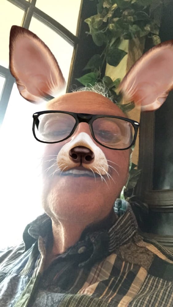Shel G.'s profile image