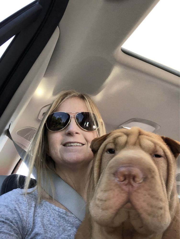 Courtney M.'s profile image