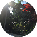 Ashley Brown-Robles's Profile Image