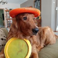 Lloyd M Watkins's profile image