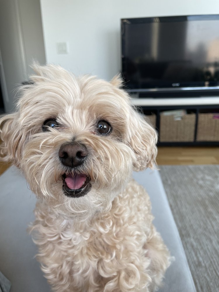 Cookie W.'s profile image