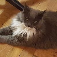 Brett S.'s profile image