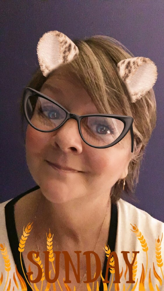 Anne A.'s profile image