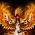 Christine Stark's profile image