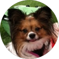 Profile Photo of Caren Colangelo