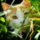 Nobby's profile image