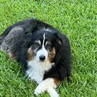 Margo Easter's profile image