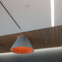 Ron D. Souza's profile image