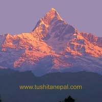 Rajesh Shrestha's profile image