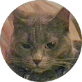 Karen Fenstermaker's Profile Image