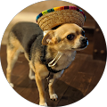 Erin's Profile Image