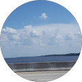 Michelle Johnson's Profile Image