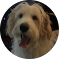 Stewart Wild's Profile Image