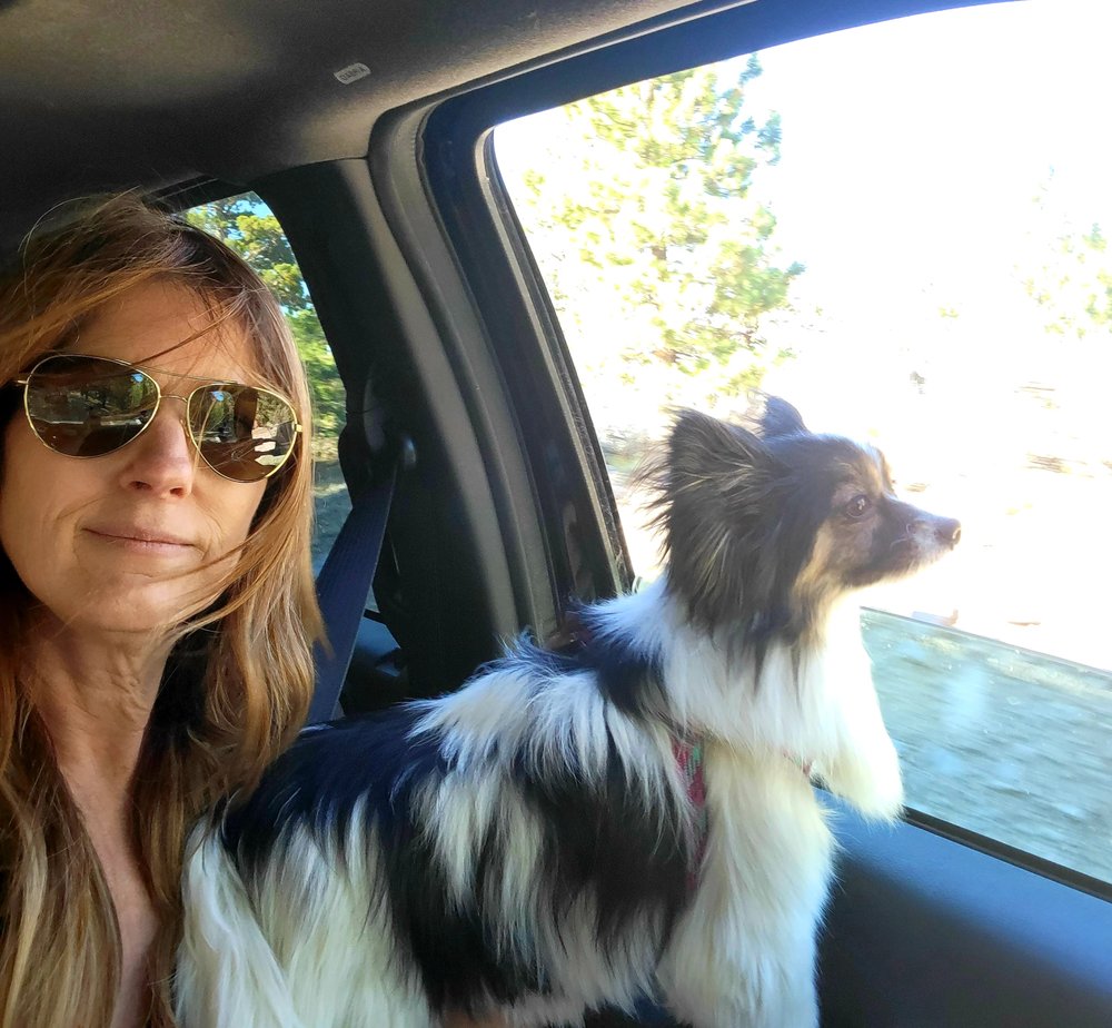 Suzanne M.'s profile image