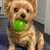 Heather Goodspeed's profile image
