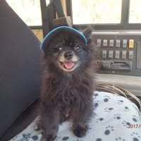 Lee Carlson's profile image