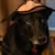 Maureen Slone's profile image