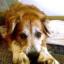 Eberhard's profile image