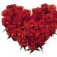 Dean and Reena Nolte's profile image