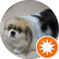 SPCA663 Little B's profile image