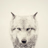 V's profile image
