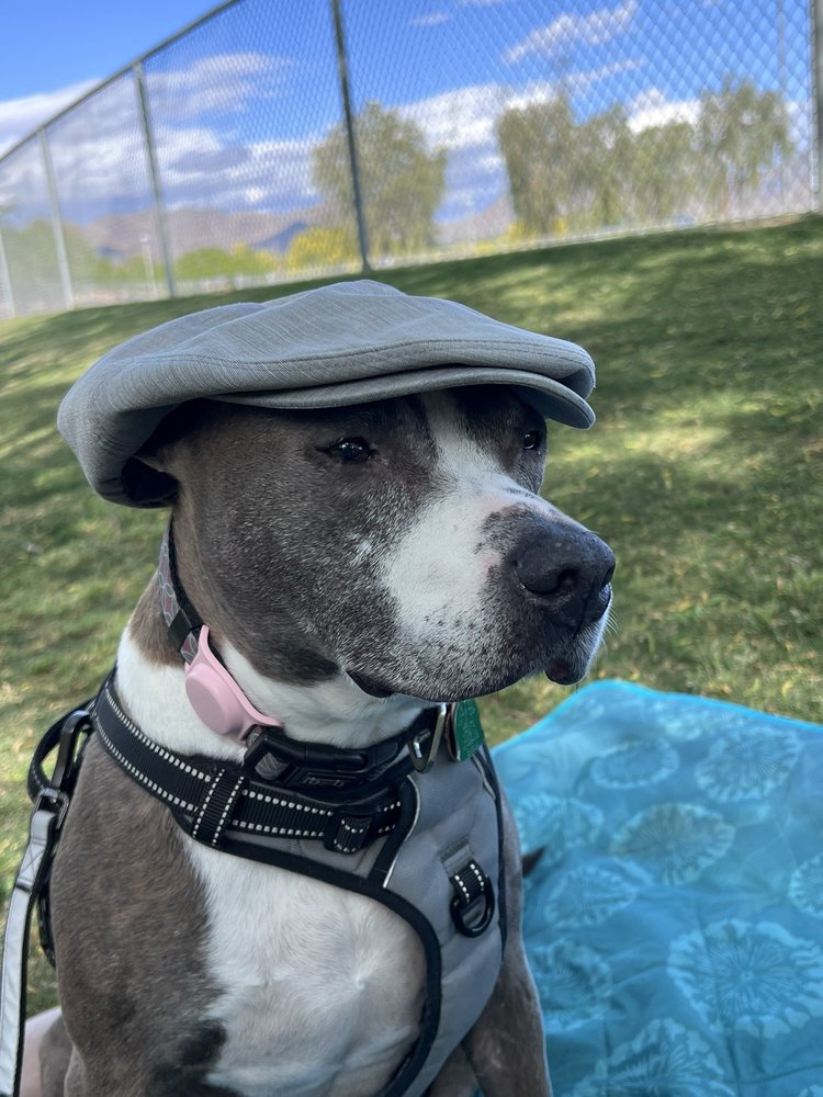 Brianne H.'s profile image