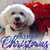 Precilla R Oliver's profile image