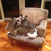 Wendy Turner's profile image