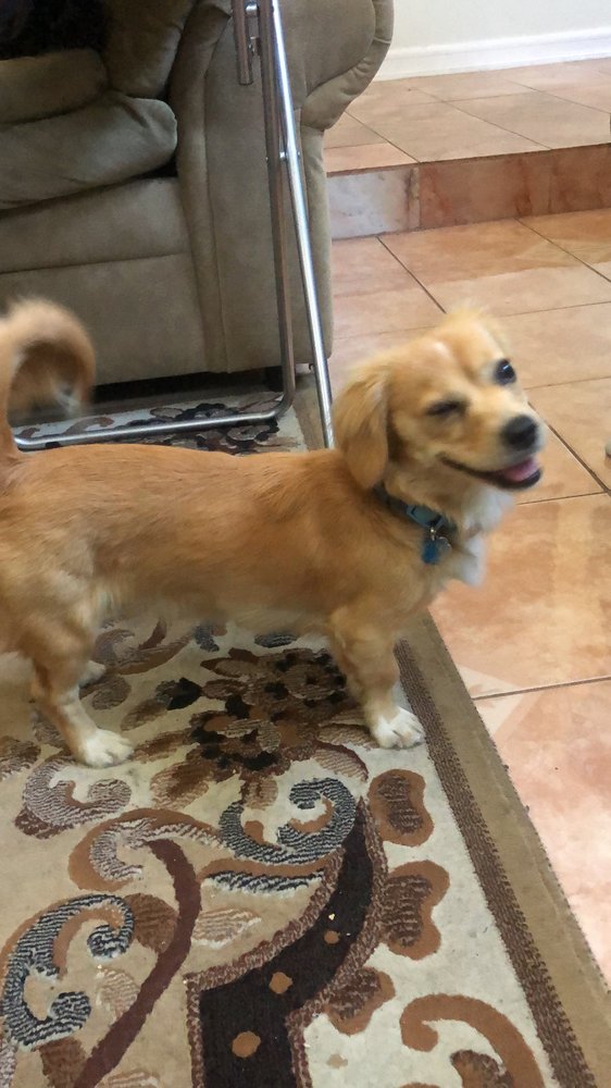 Evelyn Q.'s profile image