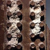 Buddy E.'s profile image
