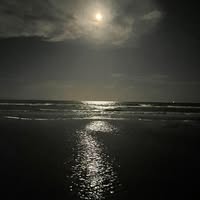 Heather Rose StClair's profile image