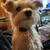 Janet Burton Cocagne's profile image
