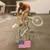 Dana N Shelley Marcotte's profile image