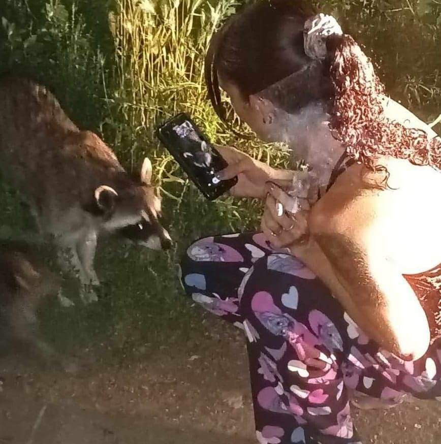 Nikki R.'s profile image