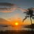 Karen Hensley - Nelson's Profile Image