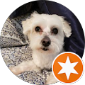 Profile Photo of Cathie Bella