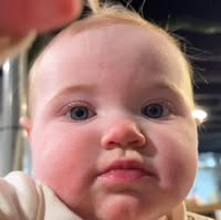 Dennis Savlin's profile image