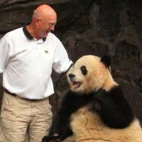Ken Landes's profile image