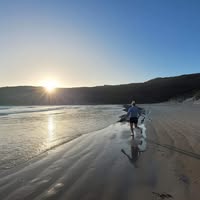 Jaqui O'Donohoe's profile image
