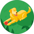 Dawn Sparks's Profile Image