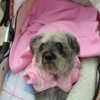 Lyn Urquhart's profile image