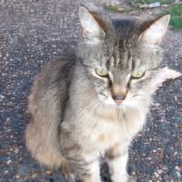 Bernard Martin's profile image