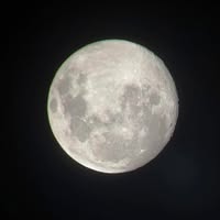 Alison Jackson's profile image