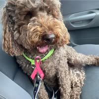 Joel Raymond Clements's profile image