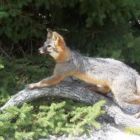 Bob Hough's profile image