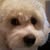Mary Brewer Mitchell's profile image