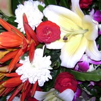 Cindy Quartermaine's profile image