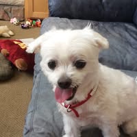 Tammy Ziegenbein's profile image