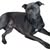 Elisa Hershey - Castile's profile image